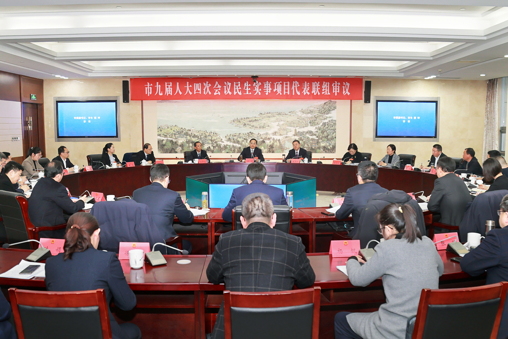 市九屆人大四次會議舉行民生實事項目代表聯組審議